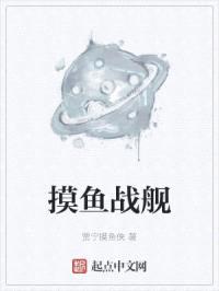 摸鱼战舰封面