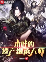 木叶的遗产继承大师封面