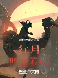 红月照耀着你封面