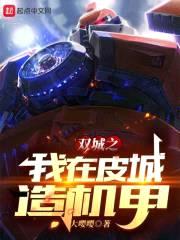 双城之我在皮城造机甲封面