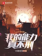 我的能力真不刑封面