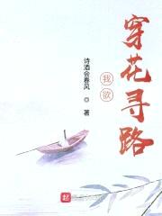 我欲，穿花寻路封面