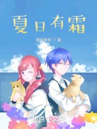 夏日有霜封面