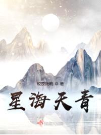 星海天青封面