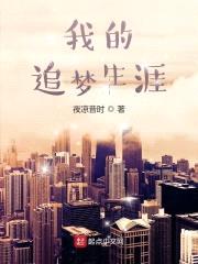 我的追梦生涯封面