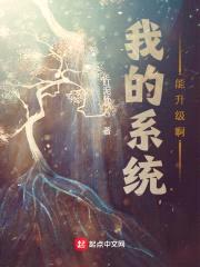 我的系统能升级啊封面