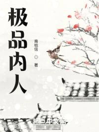 极品内人封面