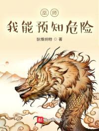 巫师：我能预知危险封面