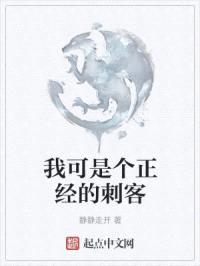 我可是个正经的刺客封面