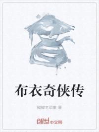 布衣奇侠传封面