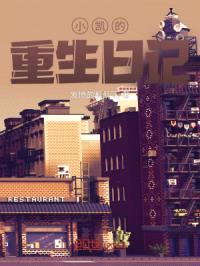 小凯的重生日记封面