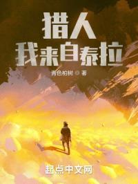 全职猎人之泰拉的游戏封面