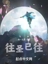 往圣已往封面