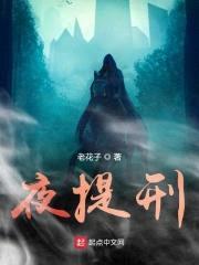 夜提刑封面