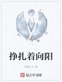 挣扎着向阳封面