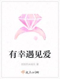 有幸遇见爱封面