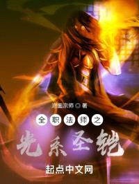 全职法师之光系圣铠封面