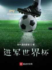 进军世界杯！封面