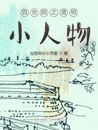 四合院之透明小人物封面