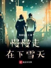 慢慢走在下雪天封面