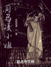 司马凌小姐封面