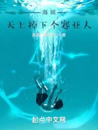 海贼：天上掉下个赛亚人封面