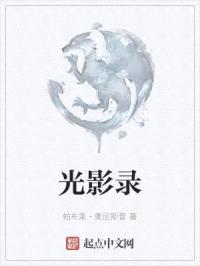 光影录封面