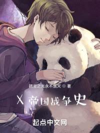 X帝国战争史封面