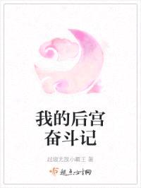 我的后宫奋斗记封面