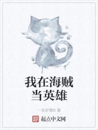 我在海贼当英雄封面