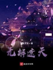 无解遮天封面
