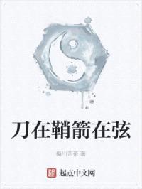刀在鞘箭在弦封面
