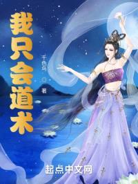 我只会道术封面