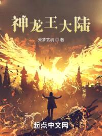 风起苍岚之神龙阁下封面