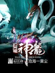 天竺神龙封面