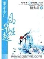 重生之风华崛起封面