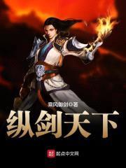 纵剑天下封面