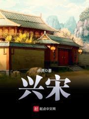 兴宋封面