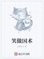 笑傲国术封面