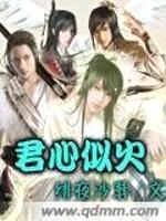 君心似火封面