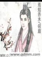 焉知乔木封面