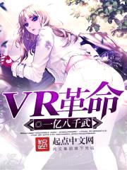 VR革命封面