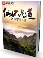 仙不足道封面