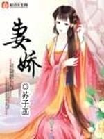 妻娇封面