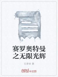 赛罗奥特曼之无限光辉封面